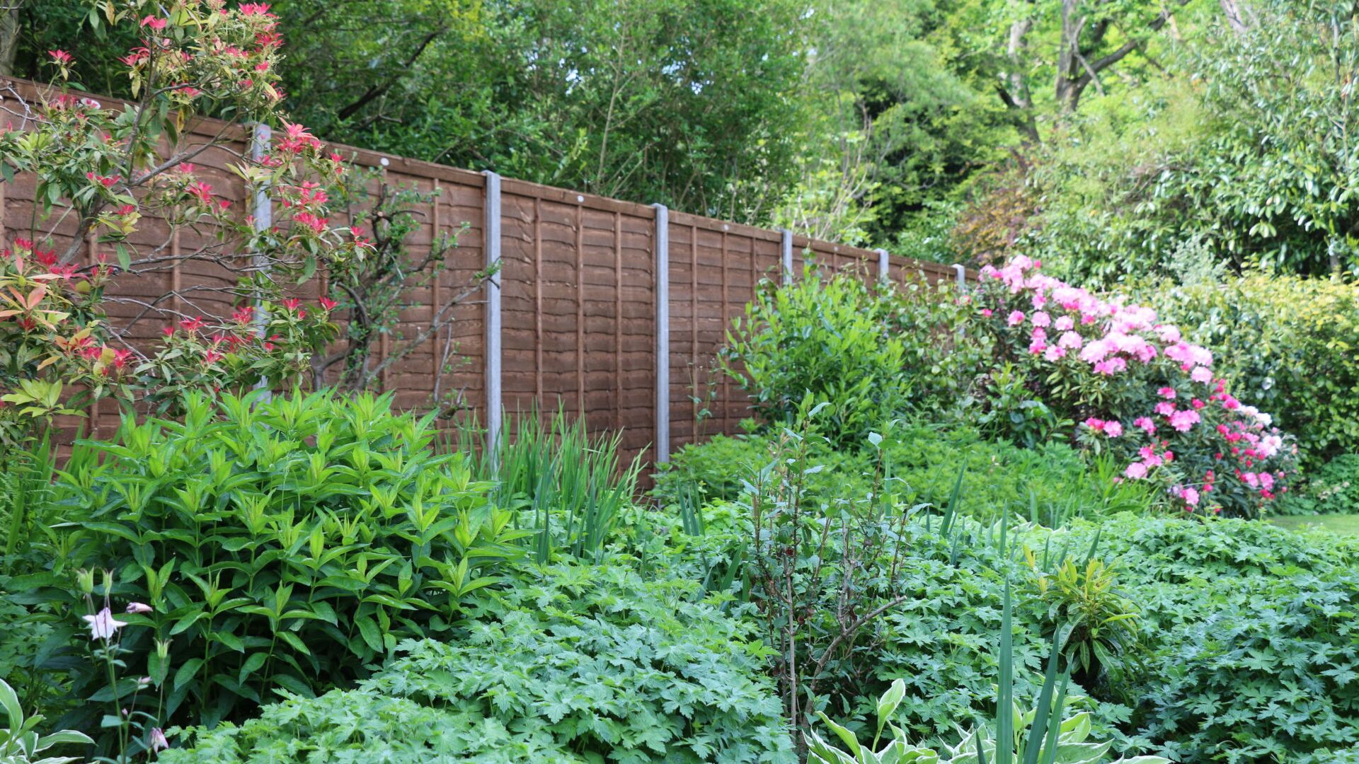 Panel Fencing with wide mixed border in front.